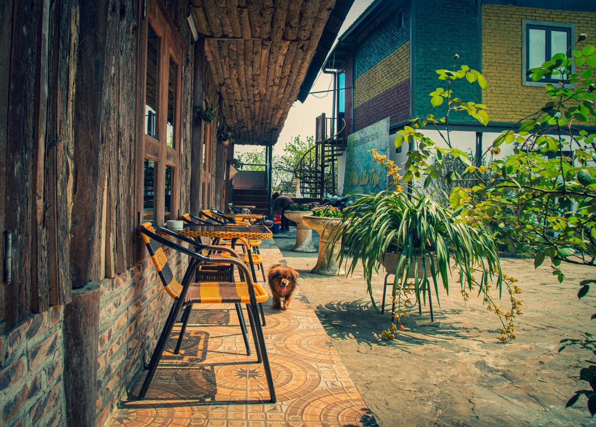 Green Sapa Homestay Экстерьер фото